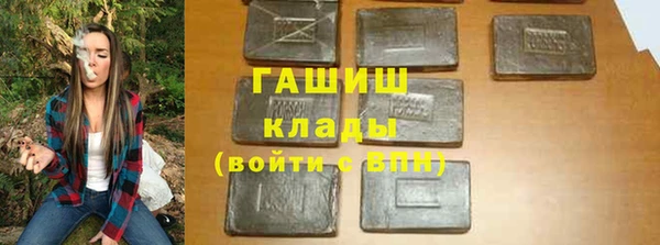 прущие грибы Лабытнанги