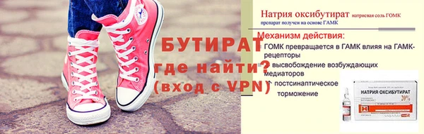 прущие грибы Лабытнанги