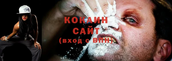 прущие грибы Лабытнанги