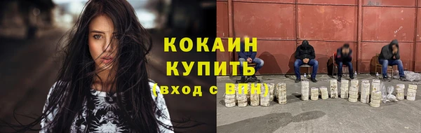 прущие грибы Лабытнанги