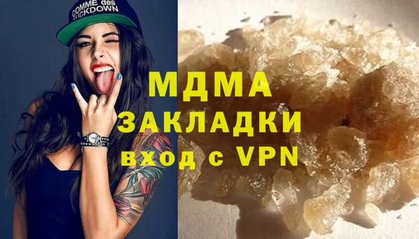 прущие грибы Лабытнанги
