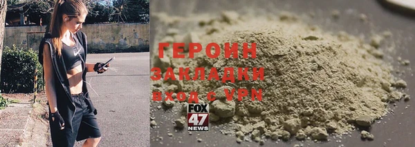 прущие грибы Лабытнанги