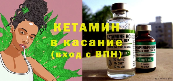 прущие грибы Лабытнанги