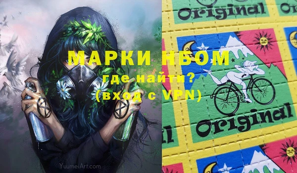 прущие грибы Лабытнанги