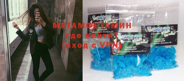 прущие грибы Лабытнанги