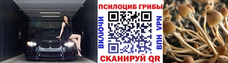 Псилоцибиновые грибы ЛСД  Купить закладки  Мамоново 